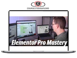 Livingwithpixels – Elementor Pro Mastery Download