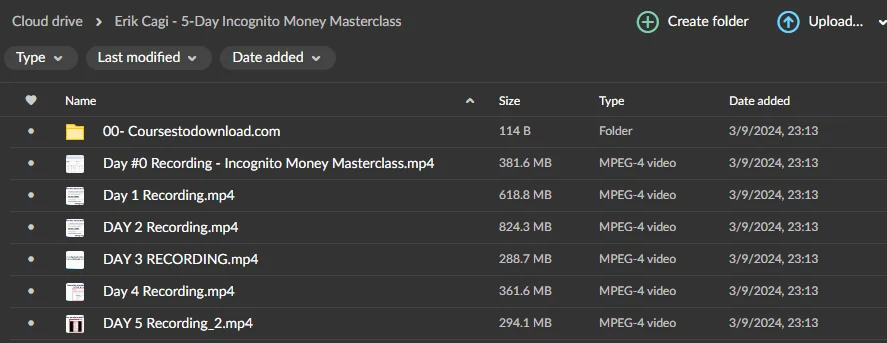 Erik Cagi - 5-Day Incognito Money Masterclass Download