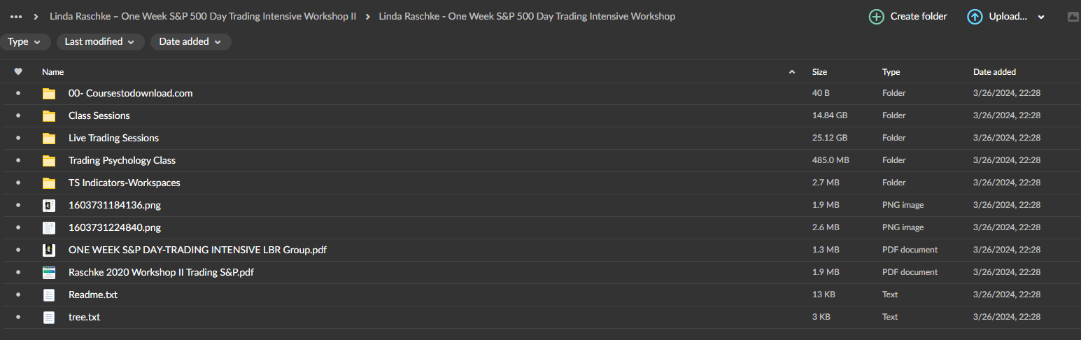 Linda Raschke – One Week S&P 500 Day Trading Intensive Workshop II Download