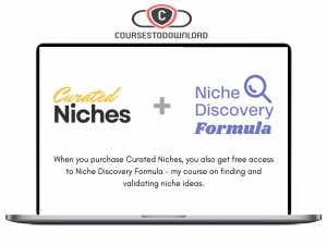 Niche Discovery Formula and Curated Niches List Download